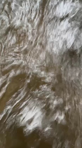 Photo from customer review