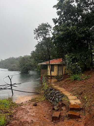 Photo from customer review