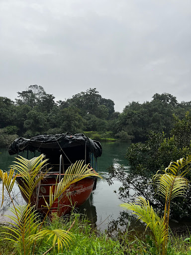 Photo from customer review