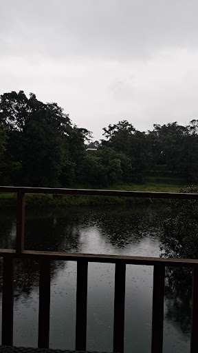 Photo from customer review