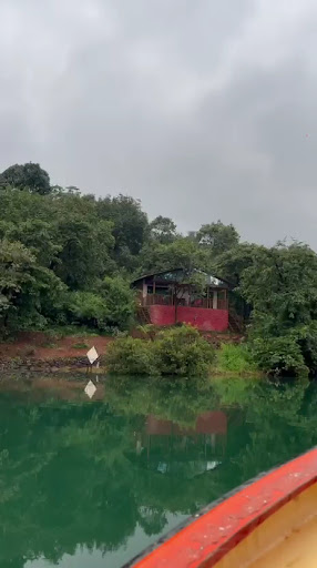 Photo from customer review